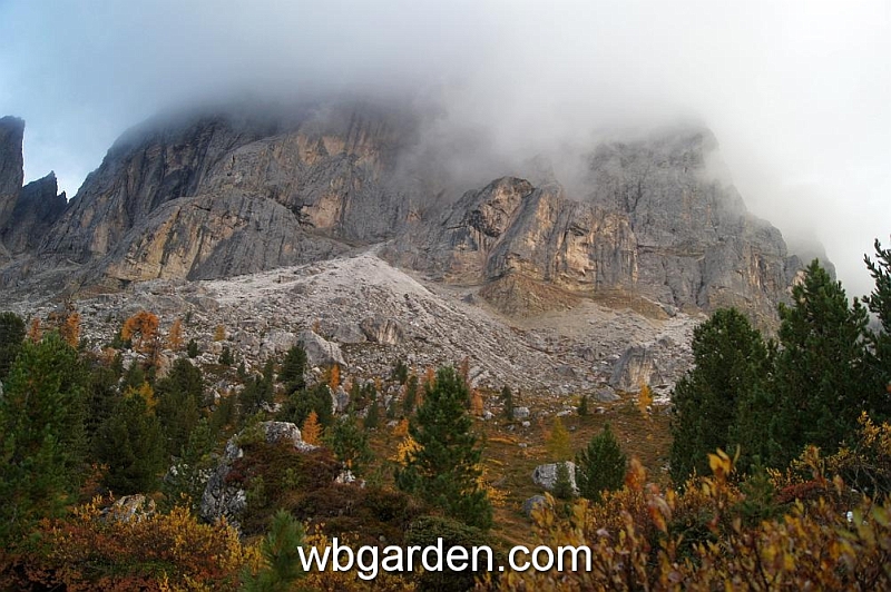 wbgarden alps 59.JPG